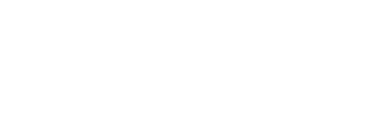 Pursuing Difference Japan Technology & Quality Is the Key